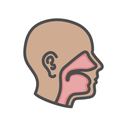 Effect of Partial Uncinectomy After Balloon Sinuplasty on Maxillary Sinus Irrigant Penetration: A Cadaveric Study