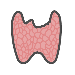 How Sugar and Sedentary Lifestyle Affects Men vs. Women