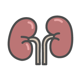 Maintaining a Positive Balance on Kidney Disease